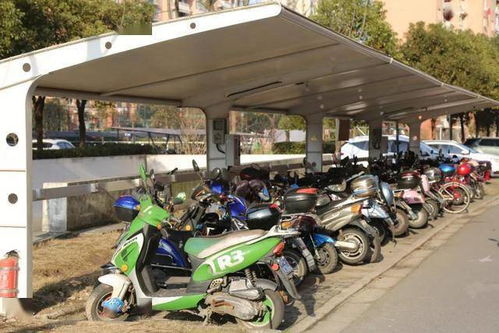 交通設(shè)施改造 技防工程建設(shè) 道路沿線景觀提升 這個鎮(zhèn)今年十大民生實事項目來啦