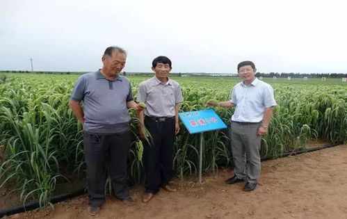 以民為本，以食為天，以安為先——蒙清農(nóng)業(yè)的科技興農(nóng)之路